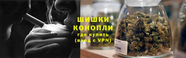сатива Гусиноозёрск