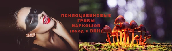 меф Дмитриев
