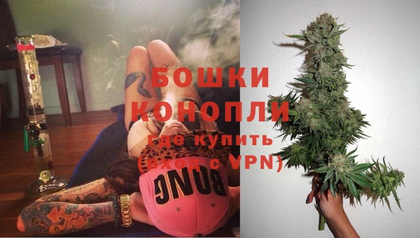 метадон Гусь-Хрустальный