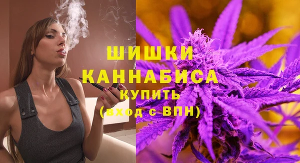 спиды Гусев
