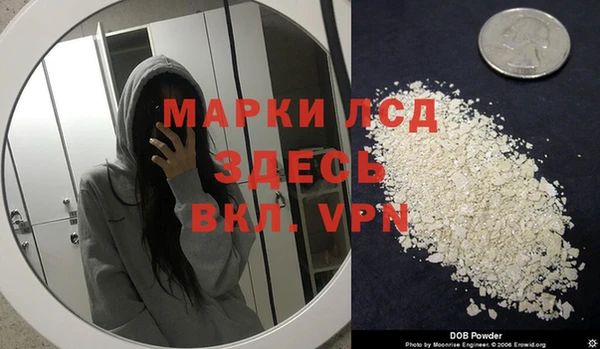 спиды Гусев