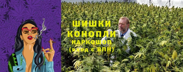 спиды Гусев