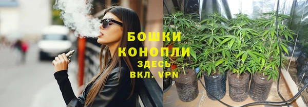сатива Гусиноозёрск