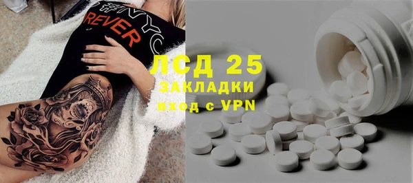 спиды Гусев