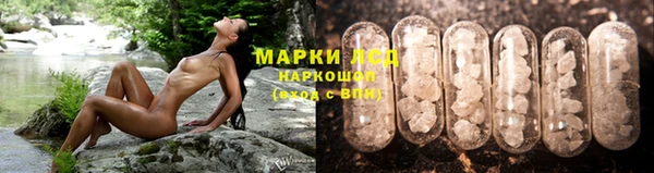 сатива Гусиноозёрск