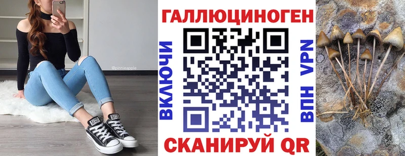 Купить где  Пикалёво  Псилоцибиновые грибы Cubensis 